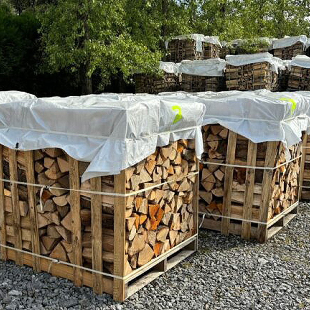 Bois de chauffage 30 cm - Palette de 2.5 stères 🇫🇷🇧🇪 – Image 2